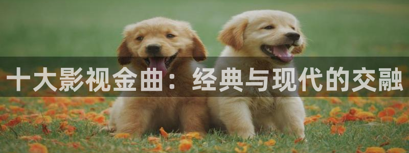 电影美丽水蜜桃2：十大影视金曲：经典与现代的交融