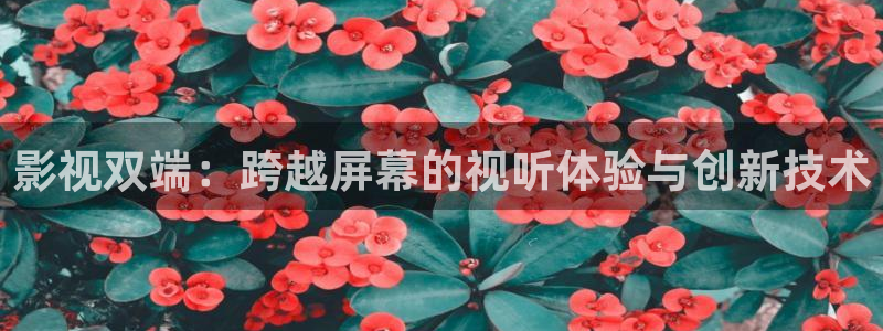 99亚洲蜜桃视频：影视双端：跨越屏幕的视听体验与创新技术