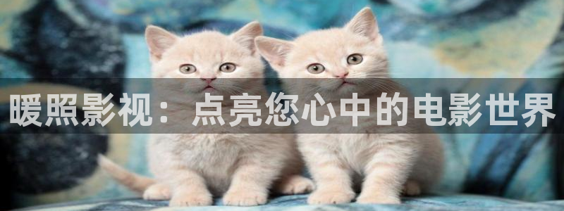 水蜜桃视频网址：暖照影视：点亮您心中的电影世界